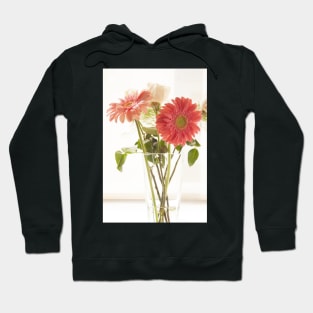 primavera Hoodie